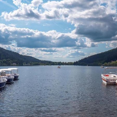 Studio Cosy Ambiance Vosgienne A 20 Mn De Gerardmer Lepanges-sur-Vologne Экстерьер фото