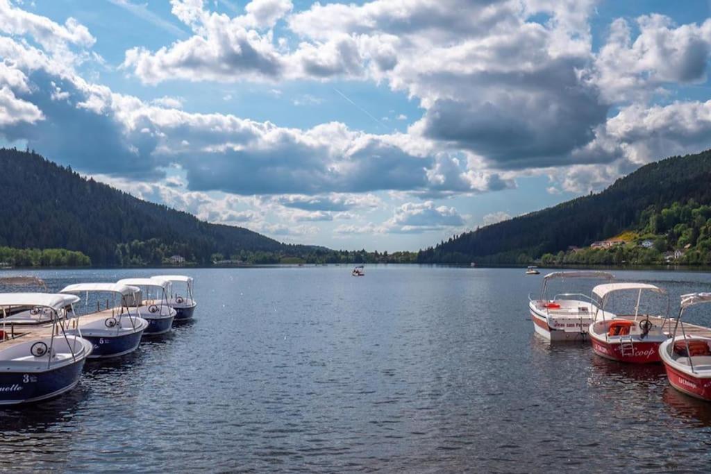 Studio Cosy Ambiance Vosgienne A 20 Mn De Gerardmer Lepanges-sur-Vologne Экстерьер фото