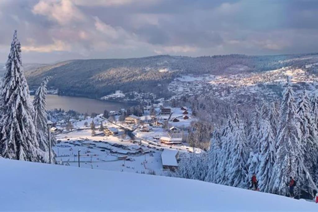 Studio Cosy Ambiance Vosgienne A 20 Mn De Gerardmer Lepanges-sur-Vologne Экстерьер фото